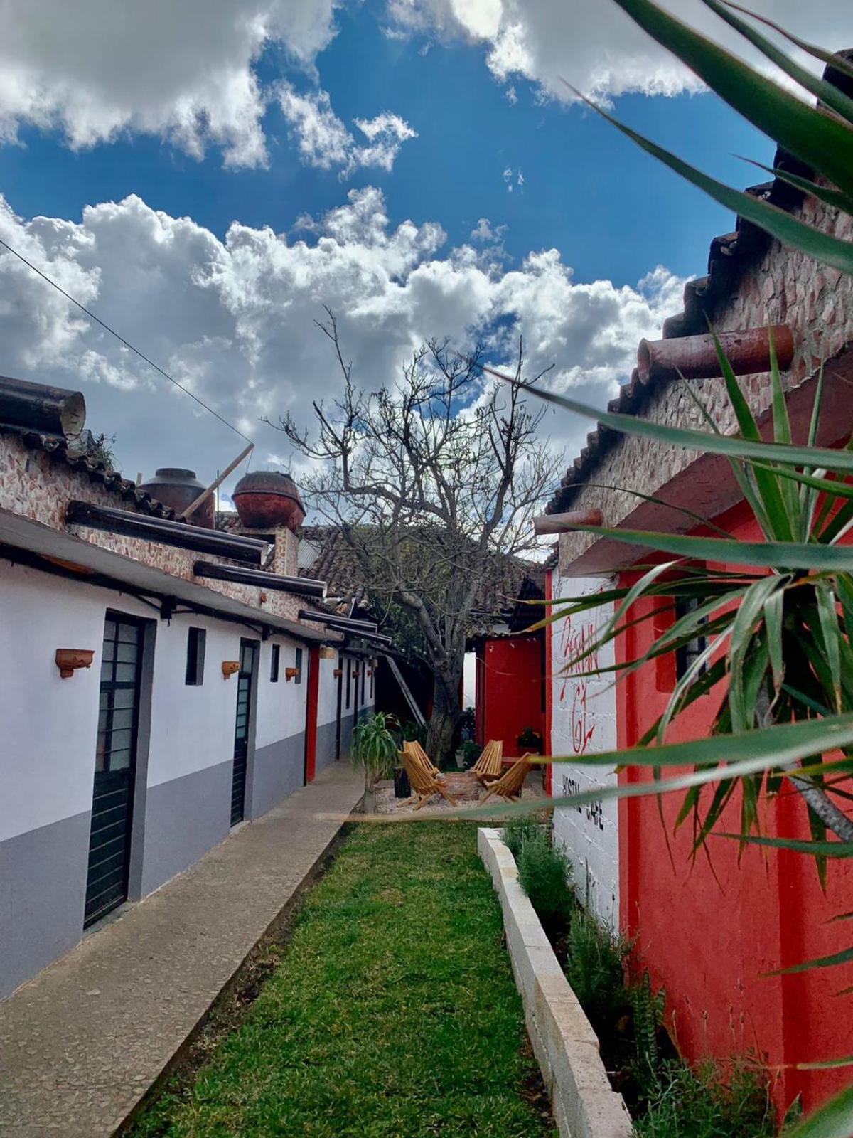 מלון San Cristóbal de Las Casas Berlin61 מראה חיצוני תמונה