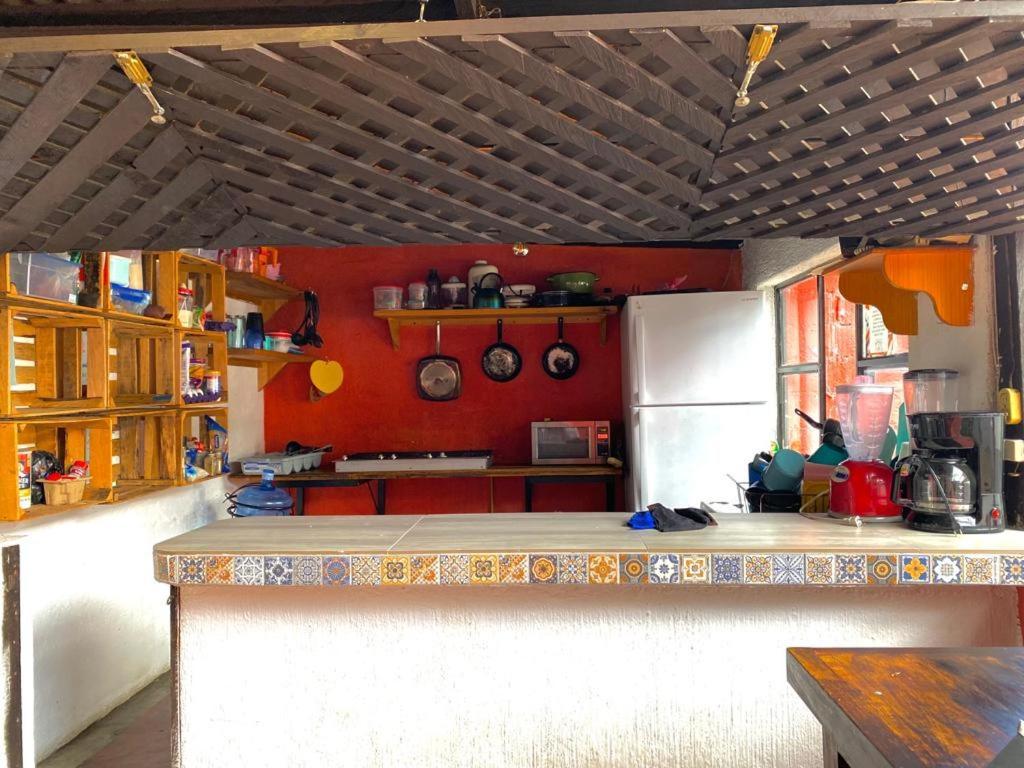 מלון San Cristóbal de Las Casas Berlin61 מראה חיצוני תמונה