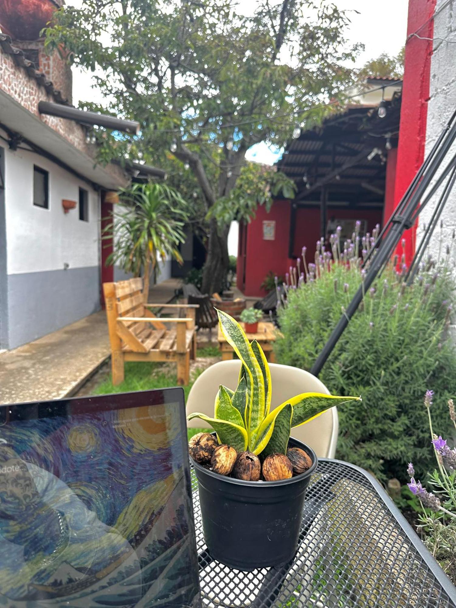 מלון San Cristóbal de Las Casas Berlin61 מראה חיצוני תמונה