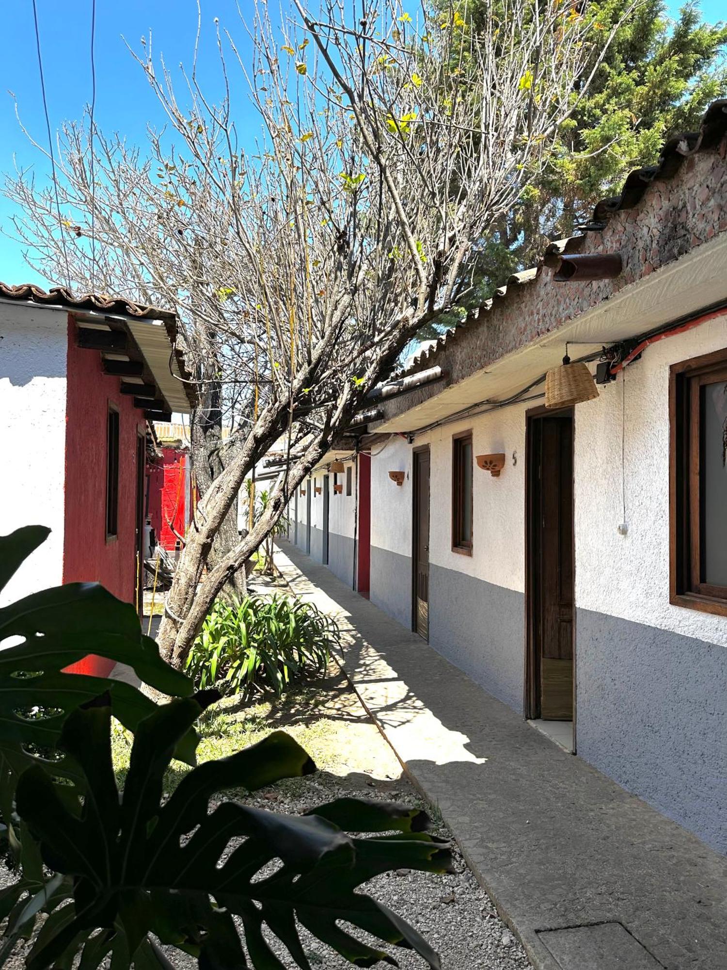 מלון San Cristóbal de Las Casas Berlin61 מראה חיצוני תמונה
